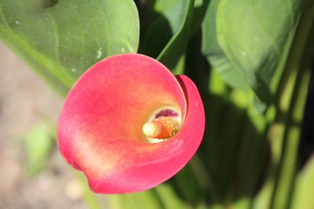 How to Build a Value Ladder Using Russell Brunsons Offer Lab