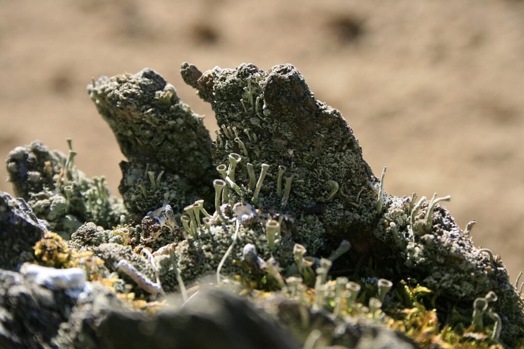 How to create an offer using Russell Bransons Offer Lab and Russell Brunsons proven framework