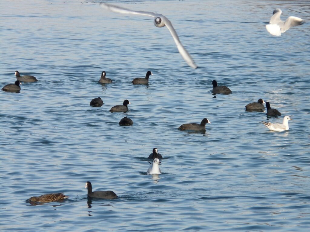 Turn Hobby into Income with Russell Brunsons Offer Lab